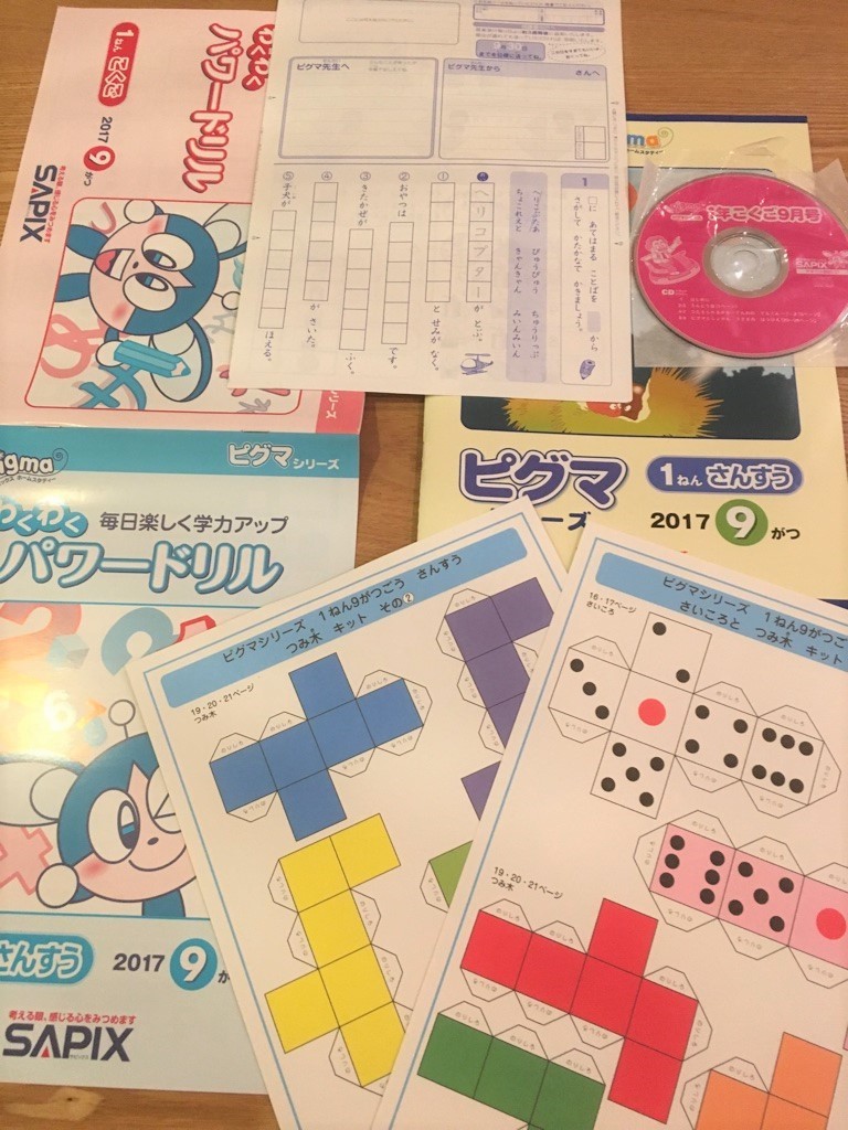 サピックス ピグマ 3年生 1年分 参考書 | dermascope.com